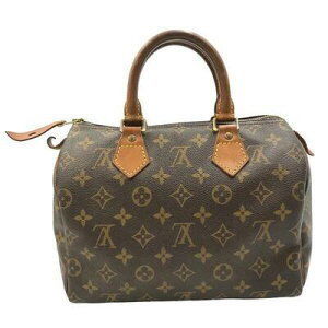 Louis Vuitton Speedy Monogram Canvas